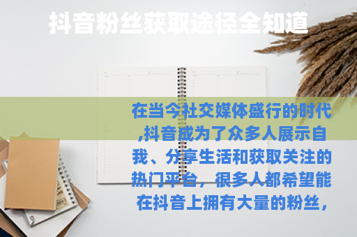 抖音粉丝获取途径全知道