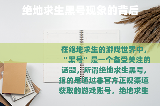 绝地求生黑号现象的背后