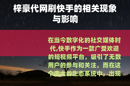 梓豪代网刷快手的相关现象与影响