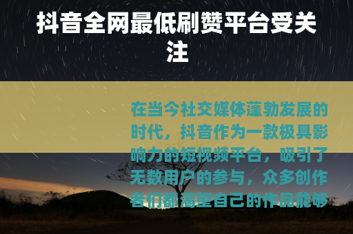 抖音全网最低刷赞平台受关注