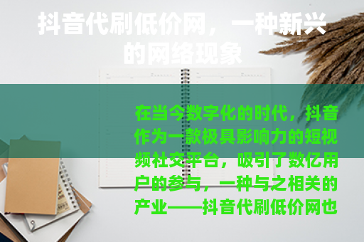 抖音代刷低价网，一种新兴的网络现象