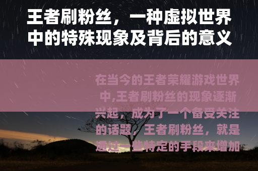 王者刷粉丝，一种虚拟世界中的特殊现象及背后的意义