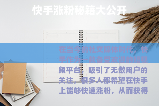 快手涨粉秘籍大公开