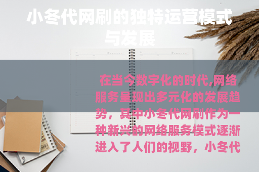 小冬代网刷的独特运营模式与发展