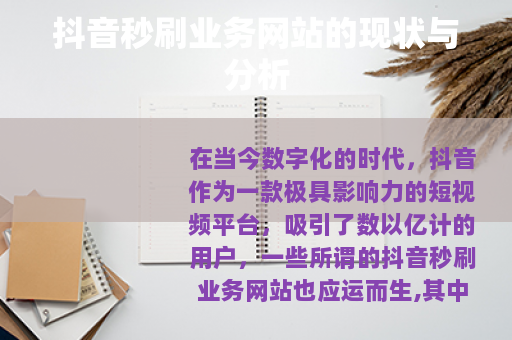 抖音秒刷业务网站的现状与分析