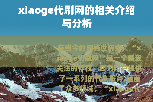 xiaoge代刷网的相关介绍与分析