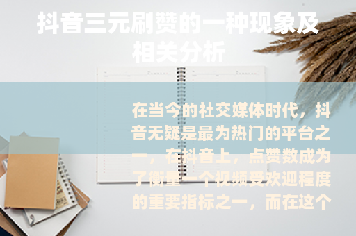 抖音三元刷赞的一种现象及相关分析