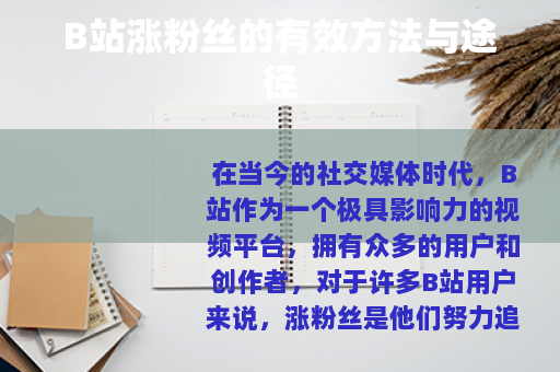 B站涨粉丝的有效方法与途径