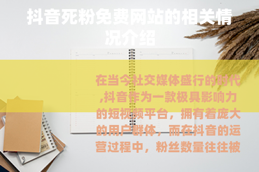 抖音死粉免费网站的相关情况介绍