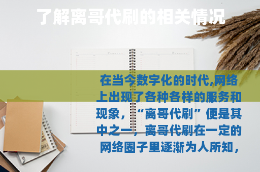 了解离哥代刷的相关情况
