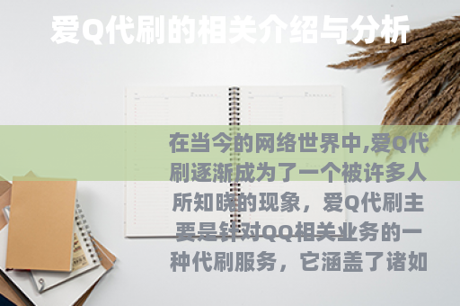 爱Q代刷的相关介绍与分析