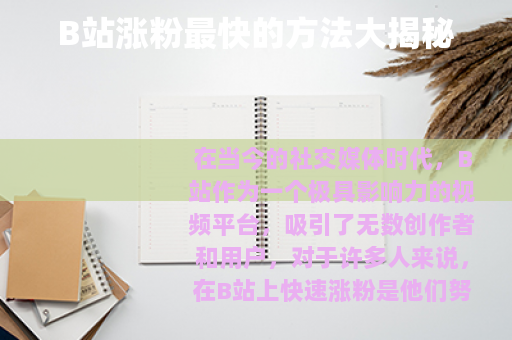 B站涨粉最快的方法大揭秘