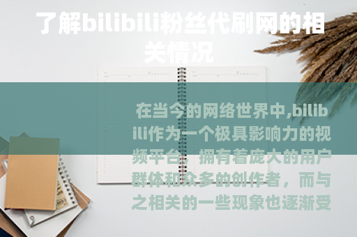了解bilibili粉丝代刷网的相关情况