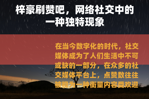 梓豪刷赞吧，网络社交中的一种独特现象