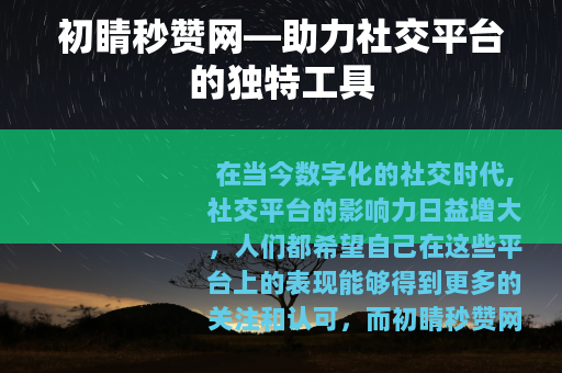 初睛秒赞网—助力社交平台的独特工具