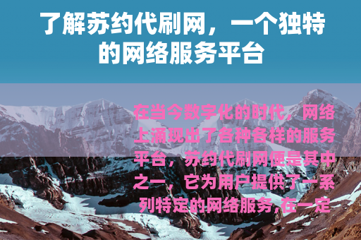 了解苏约代刷网，一个独特的网络服务平台