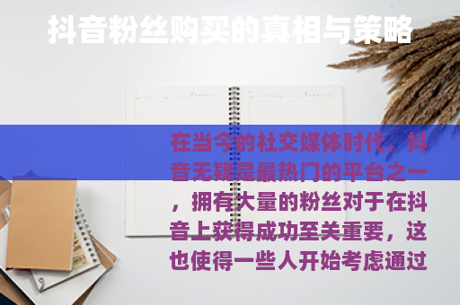 抖音粉丝购买的真相与策略