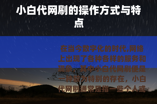 小白代网刷的操作方式与特点