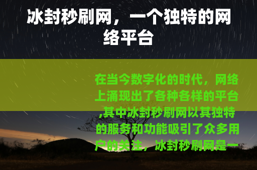 冰封秒刷网，一个独特的网络平台