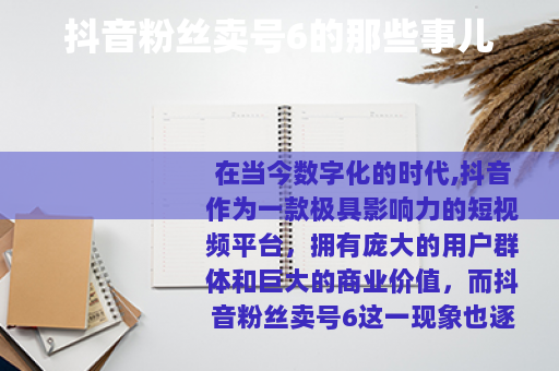 抖音粉丝卖号6的那些事儿