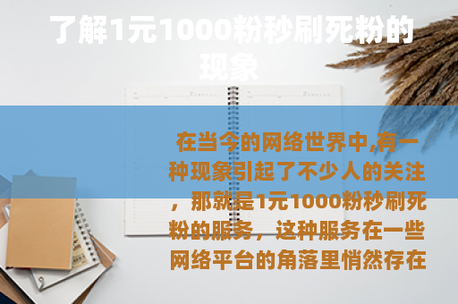 了解1元1000粉秒刷死粉的现象