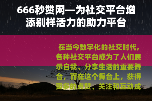 666秒赞网—为社交平台增添别样活力的助力平台