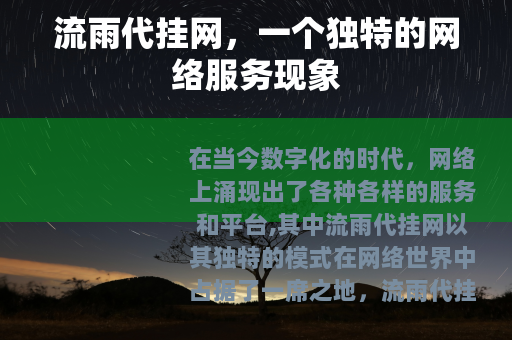 流雨代挂网，一个独特的网络服务现象