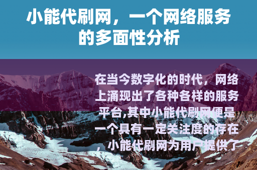 小能代刷网，一个网络服务的多面性分析
