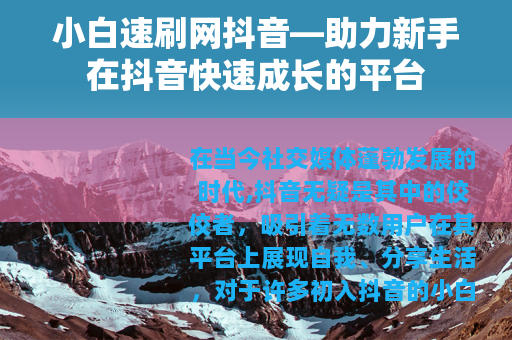 小白速刷网抖音—助力新手在抖音快速成长的平台