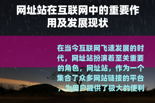 网址站在互联网中的重要作用及发展现状