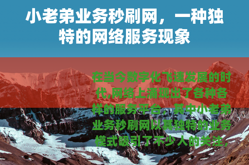 小老弟业务秒刷网，一种独特的网络服务现象