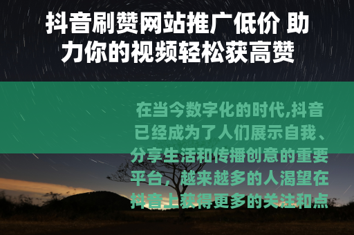 抖音刷赞网站推广低价 助力你的视频轻松获高赞