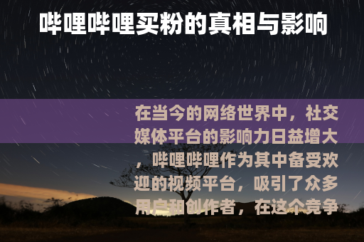 哔哩哔哩买粉的真相与影响