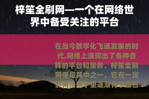 梓笙全刷网—一个在网络世界中备受关注的平台