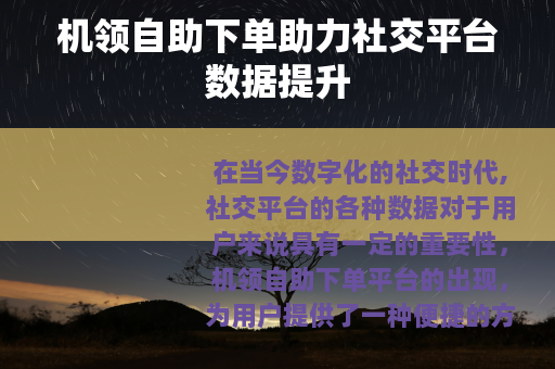 机领自助下单助力社交平台数据提升