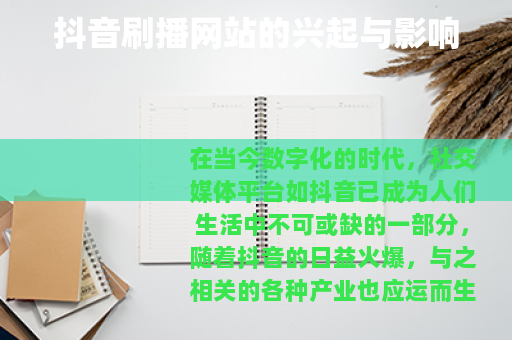 抖音刷播网站的兴起与影响