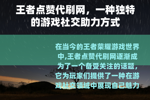 王者点赞代刷网，一种独特的游戏社交助力方式