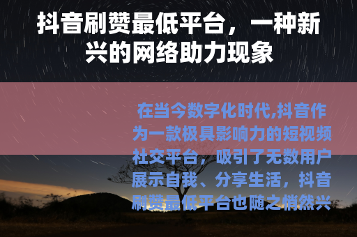 抖音刷赞最低平台，一种新兴的网络助力现象