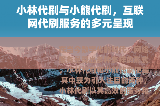 小林代刷与小熊代刷，互联网代刷服务的多元呈现