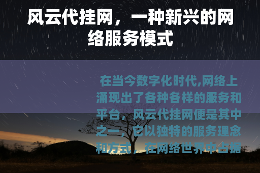 风云代挂网，一种新兴的网络服务模式
