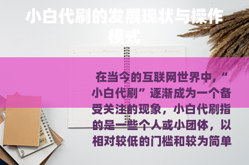 小白代刷的发展现状与操作模式