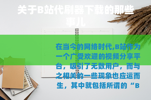 关于B站代刷器下载的那些事儿