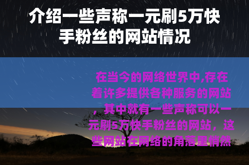介绍一些声称一元刷5万快手粉丝的网站情况