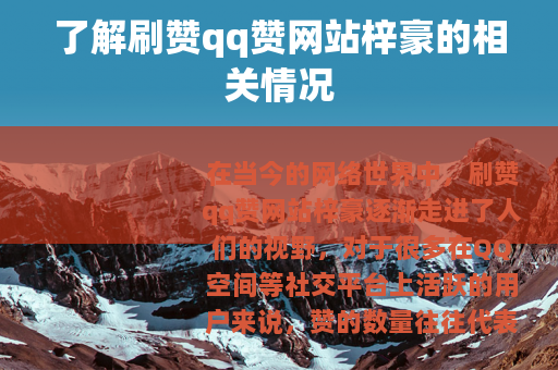 了解刷赞qq赞网站梓豪的相关情况