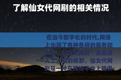 了解仙女代网刷的相关情况