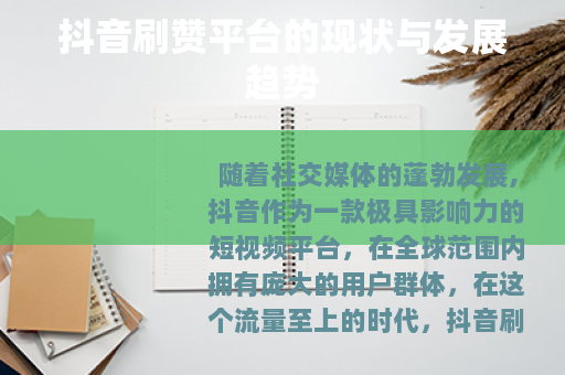 抖音刷赞平台的现状与发展趋势