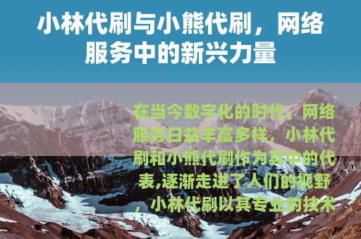 小林代刷与小熊代刷，网络服务中的新兴力量