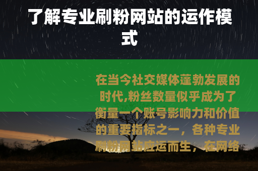 了解专业刷粉网站的运作模式