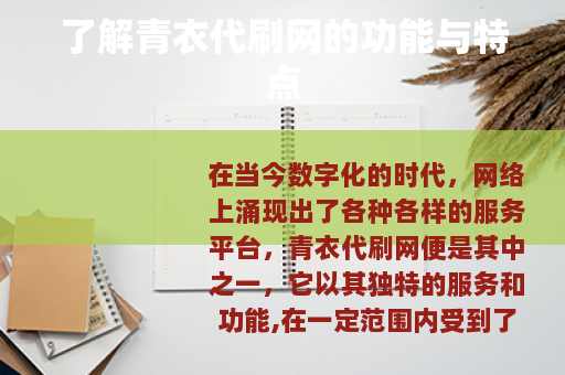 了解青衣代刷网的功能与特点