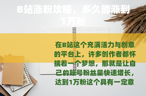 B站涨粉攻略，多久能涨到1万粉